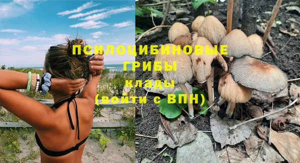 MESCALINE Иннополис