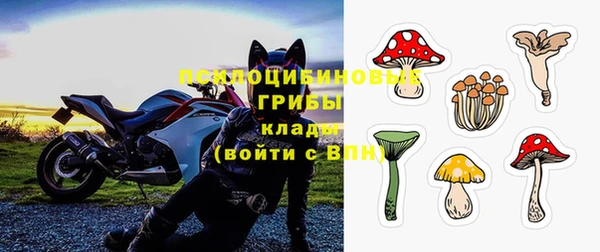 первитин Инта